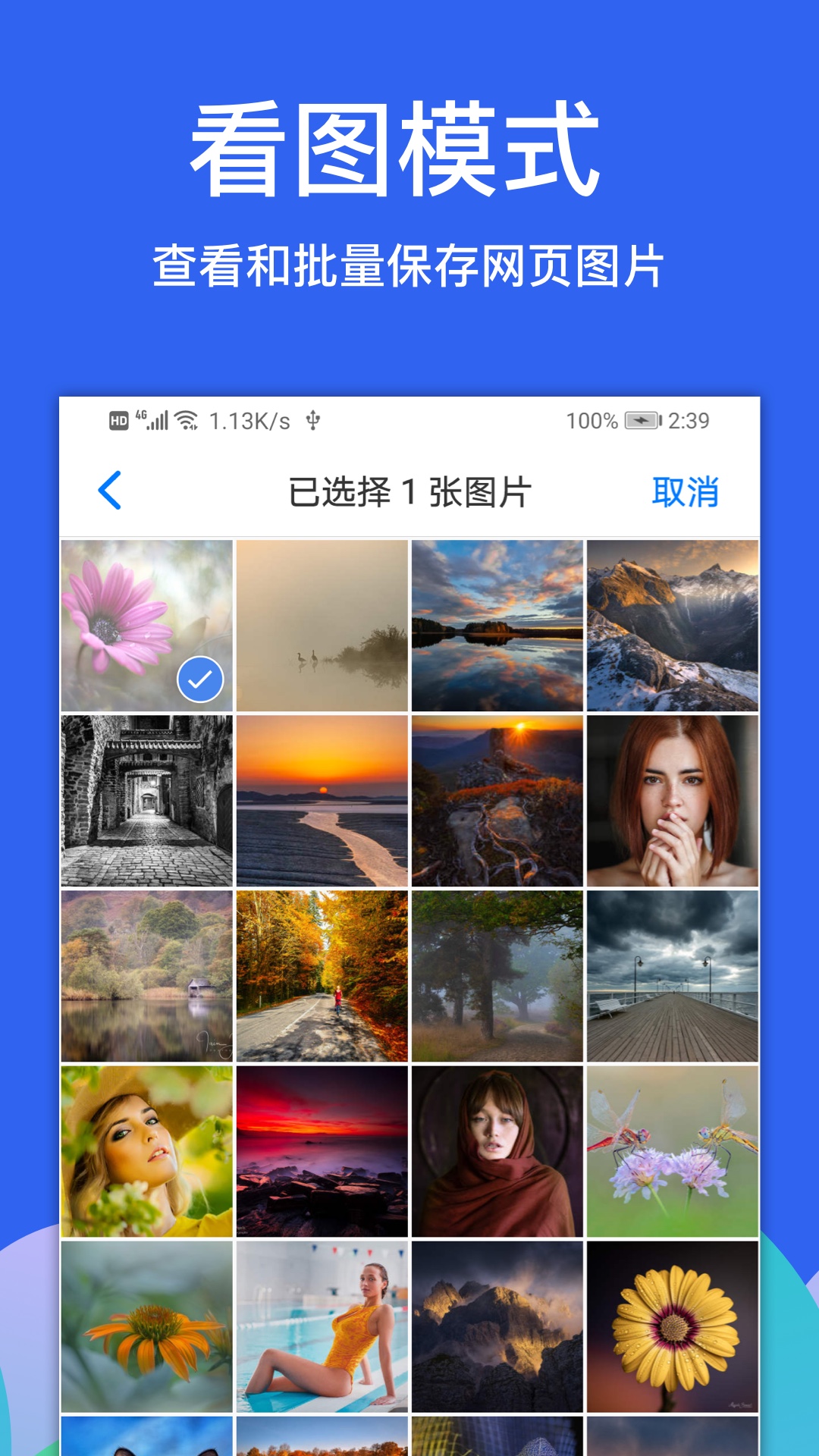 Alook浏览器v5.1截图2