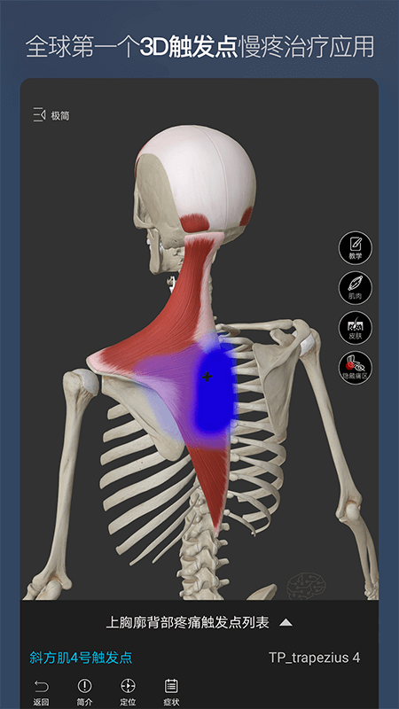 维萨里3D解剖v5.4.3截图3