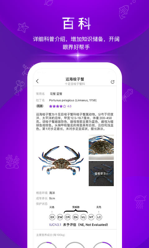 问鱼v1.1.12截图4