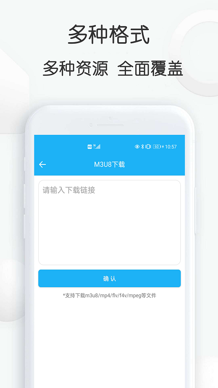 云雀idm网页视频下载器v9.88截图1