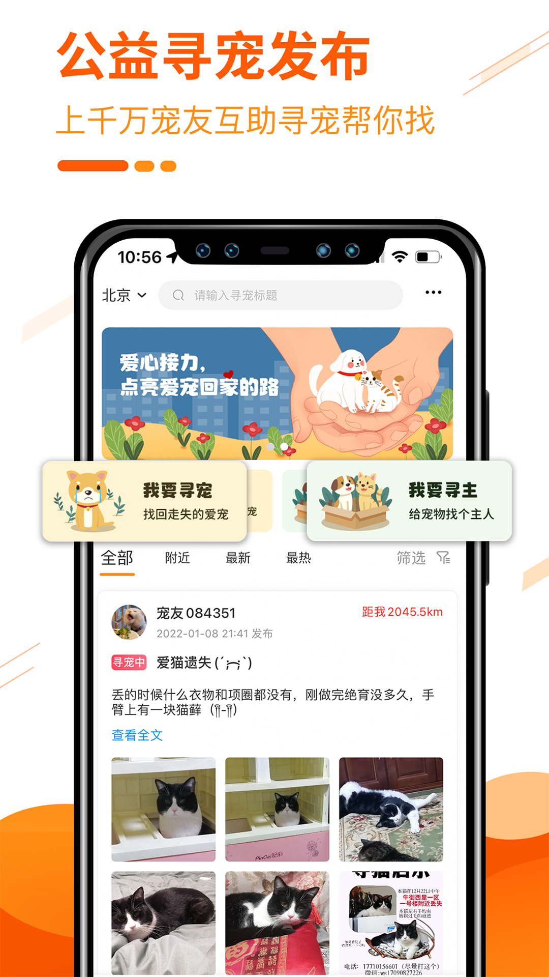 人人宠v3.9.0截图2