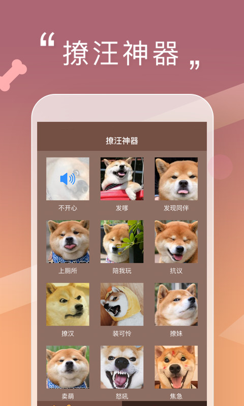 人狗交流器v2.0.0截图3