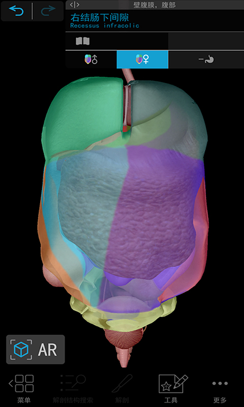 3D人体解剖v2022.0.71截图1