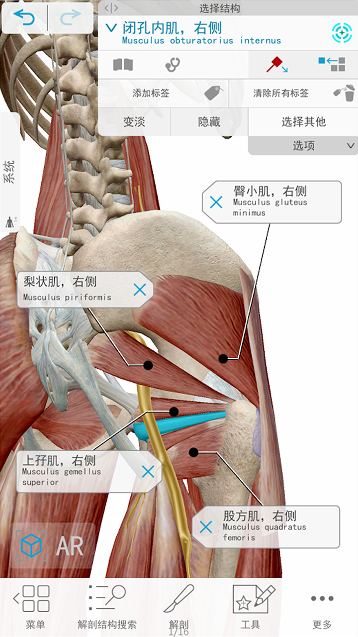 3D人体解剖v3截图4