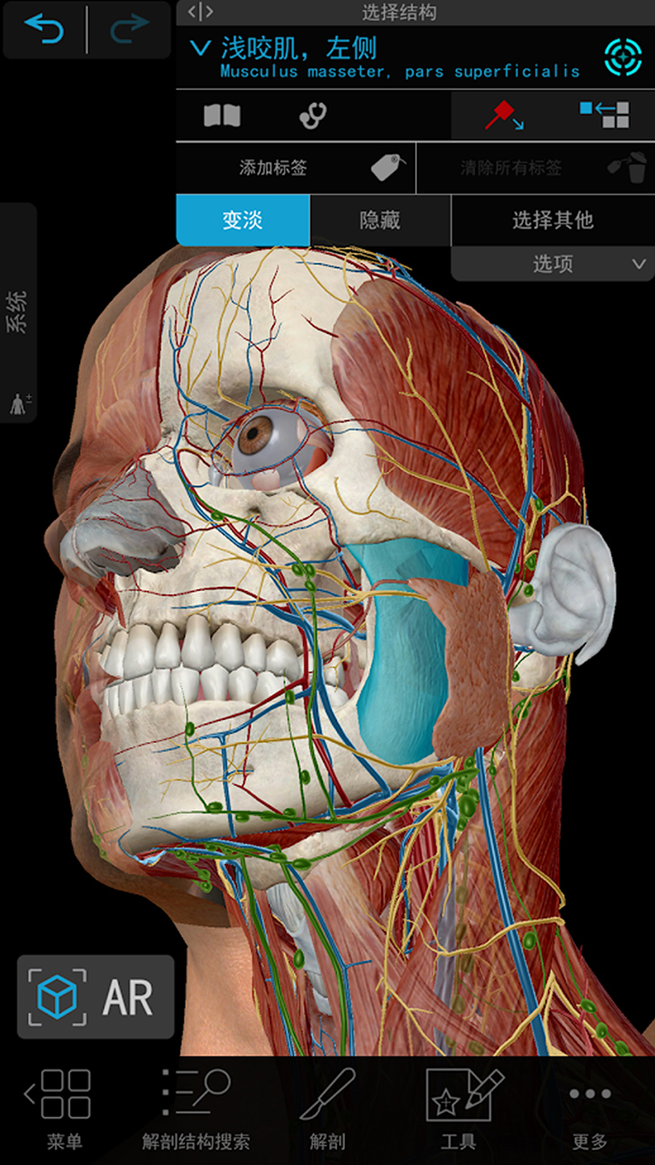 3D人体解剖v3截图5