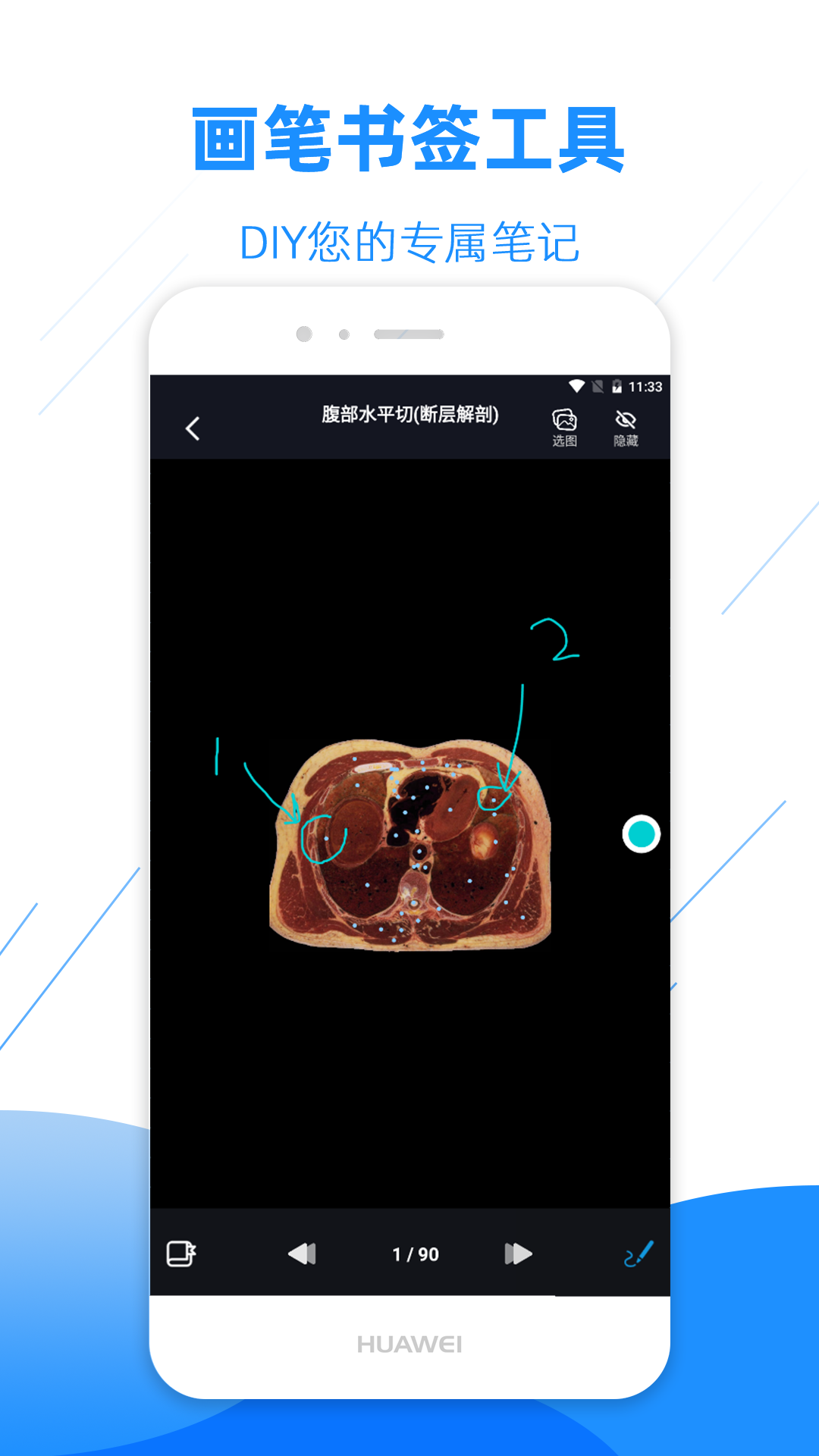 影像解剖图谱v3.1.2截图1