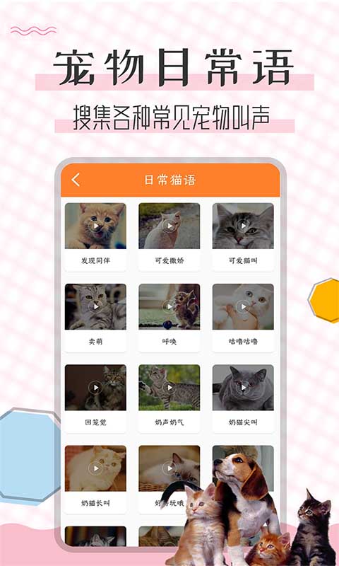 猫语翻译宝v1.2.3截图2