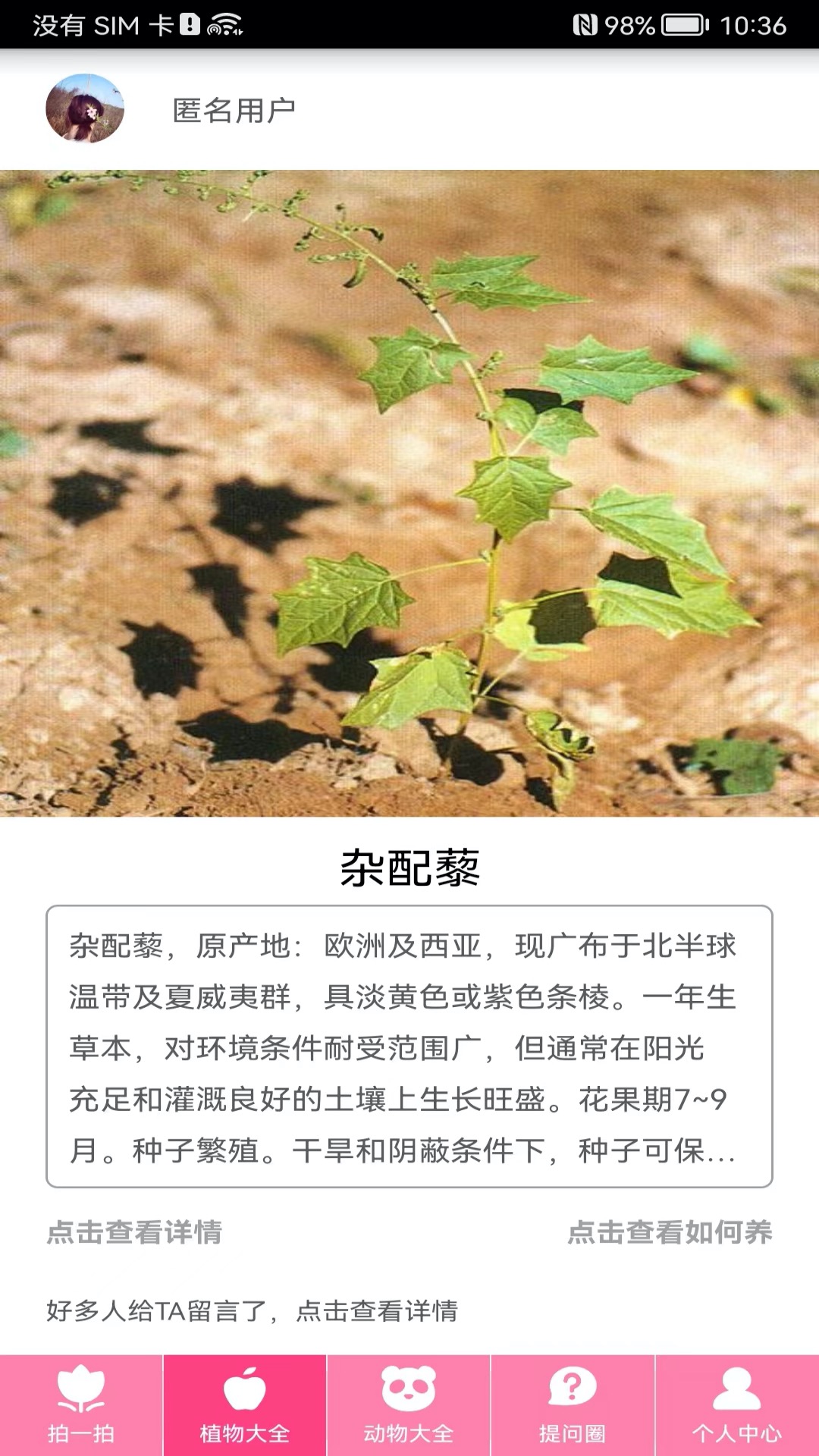 拍照识物v3.1.2截图3