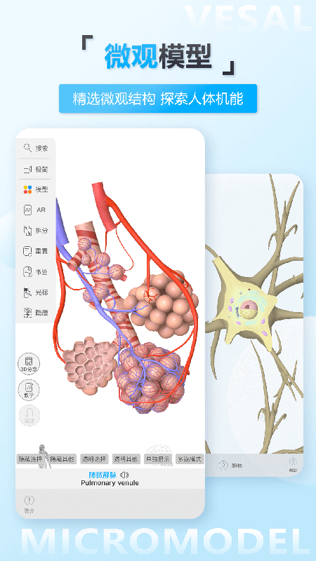 维萨里3D解剖v5.5.0截图2