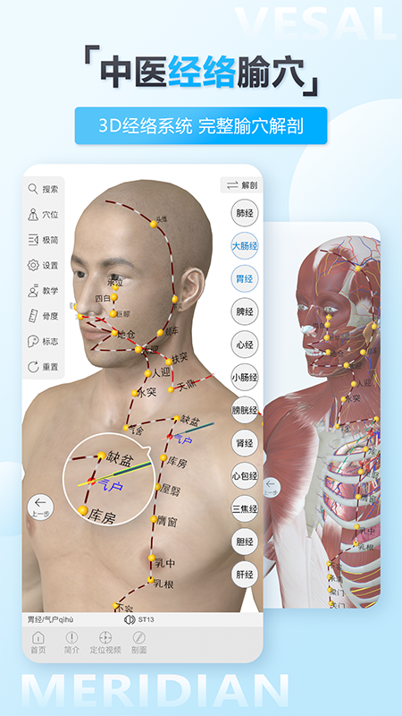 维萨里3D解剖v5.5.0截图3