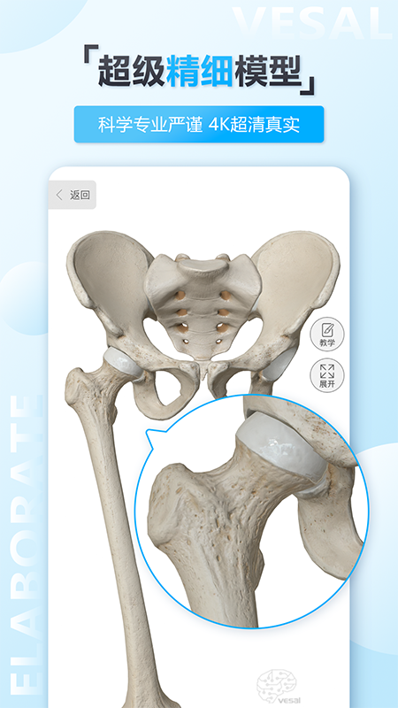 维萨里3D解剖v5.5.0截图4