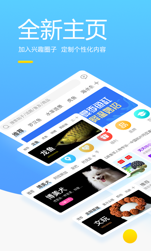 龙巅v5.2.2截图5