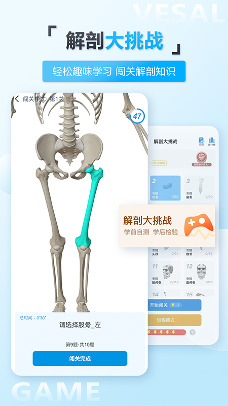 维萨里3D解剖v5.5.0截图1