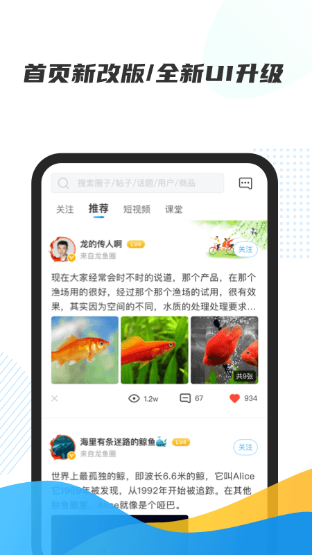 龙巅v6.0.0截图5