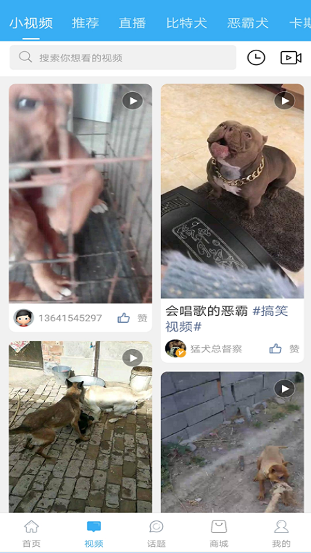 猛犬俱乐部v20261截图2