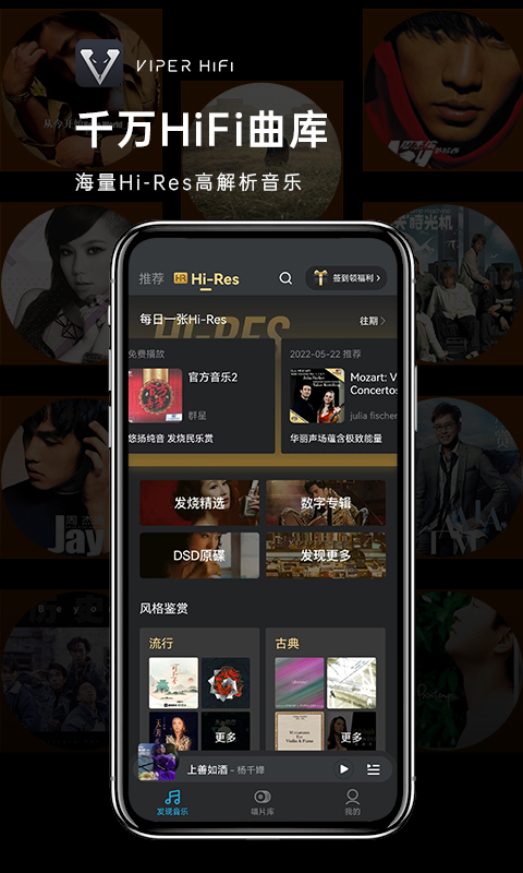 VIPER HiFiv4.1.0截图4