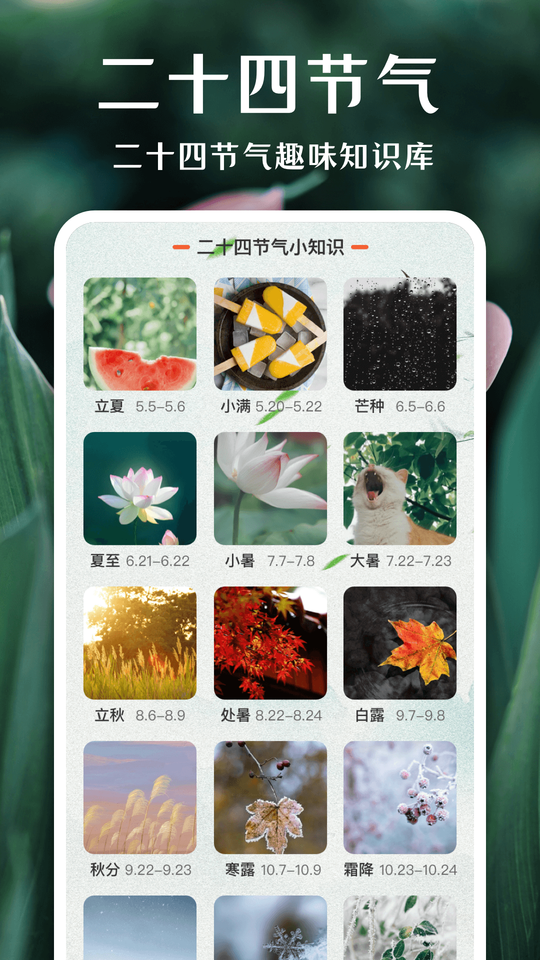 拍照识花v3.2.0截图1