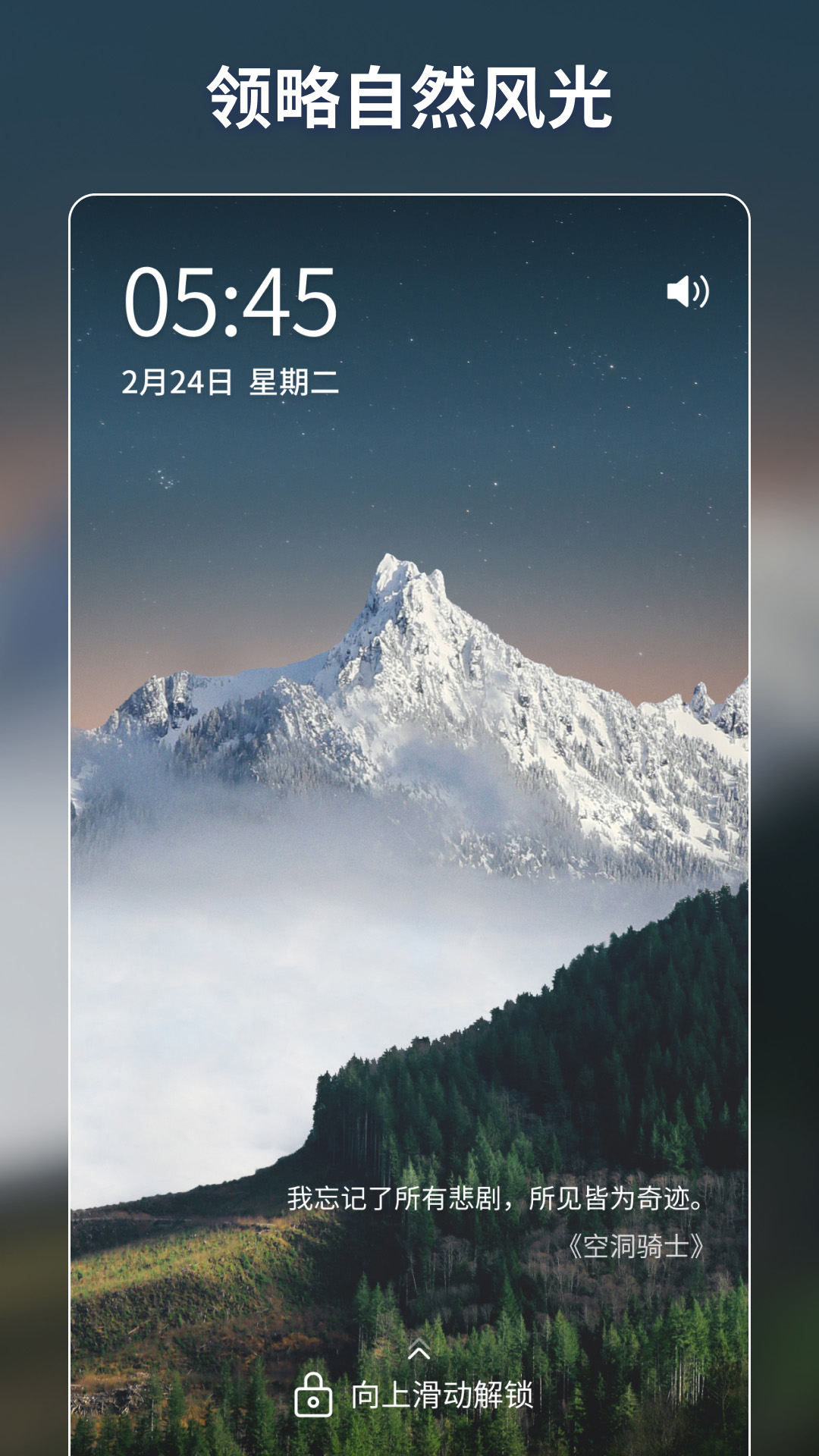 壁纸酱v1.9.0截图2