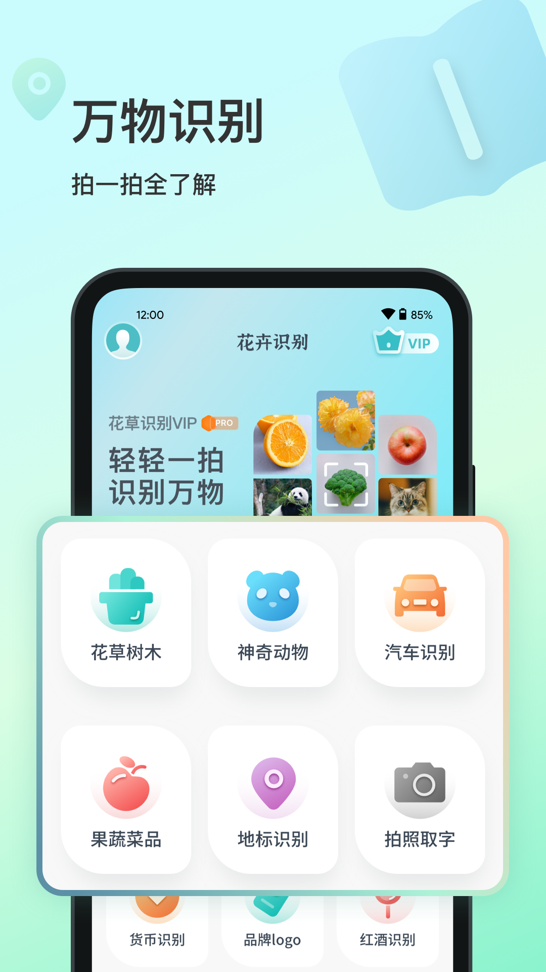 花卉识别v1.0.0截图1