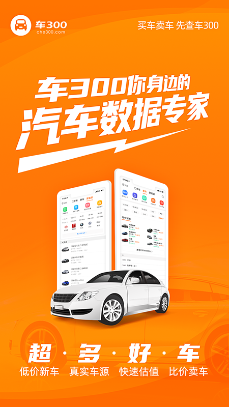 车300二手车v5.1.2.01截图4