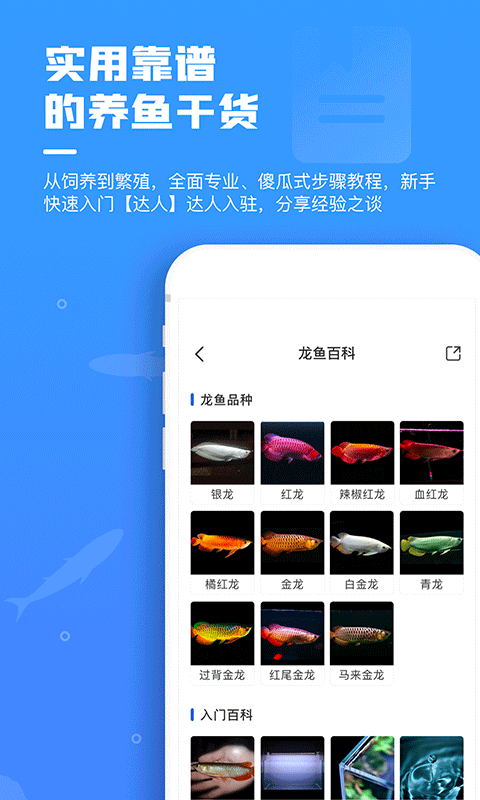 鲲天下v2.0.2截图3