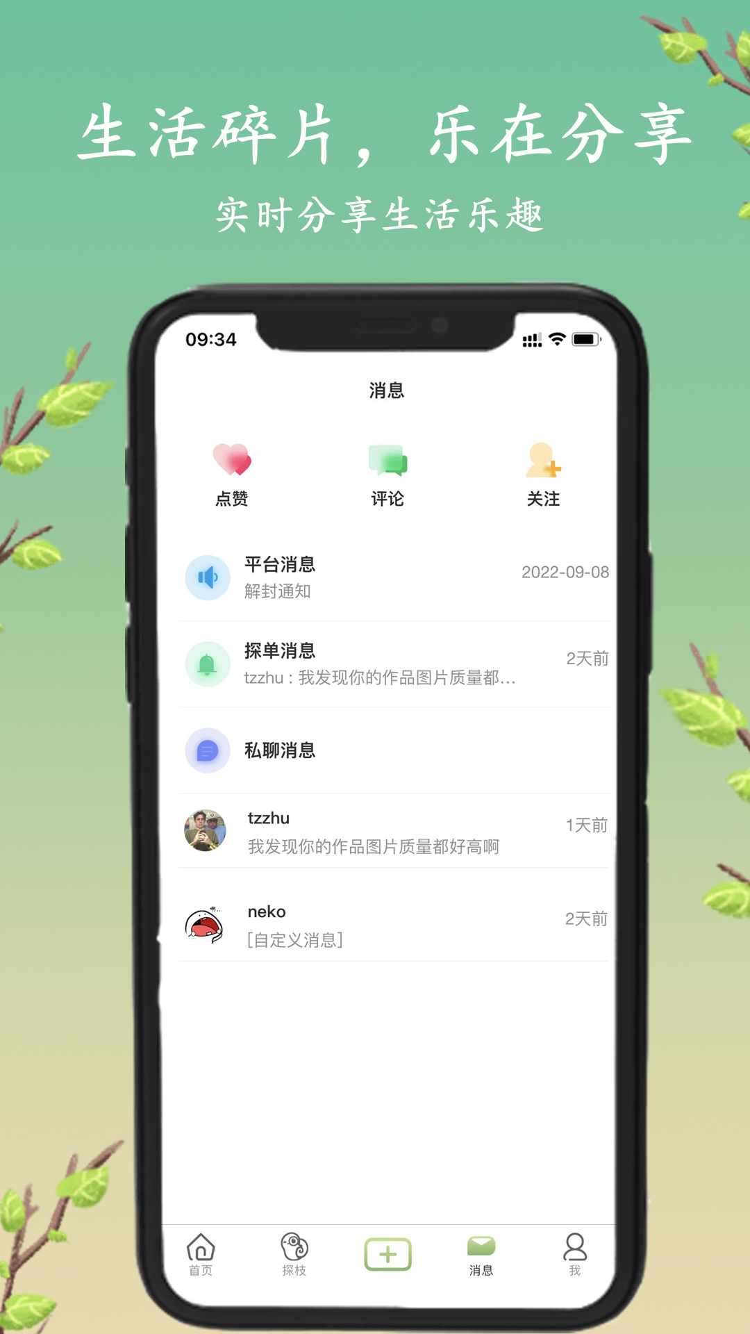 探枝v1.2.6截图2