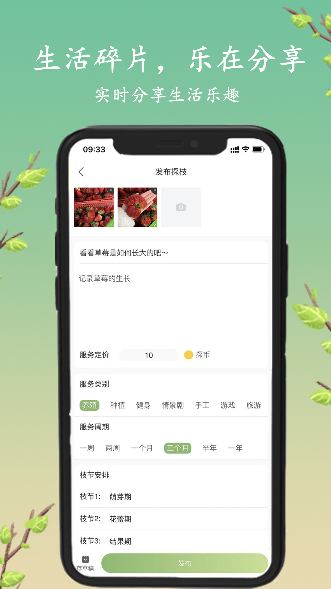 探枝v1.2.8截图3