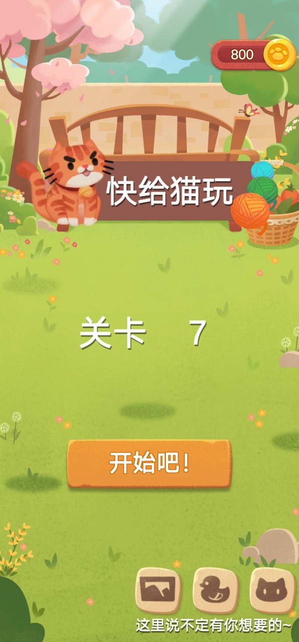 快给猫玩截图3