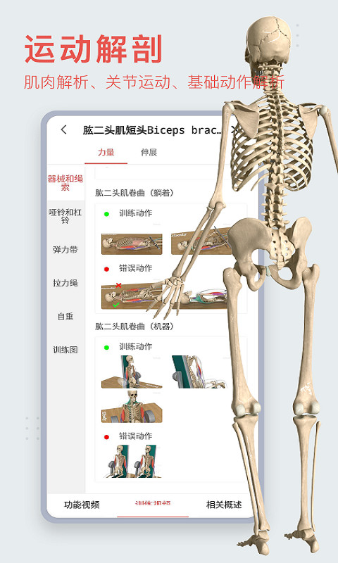 3DBodyv8.6.90截图5