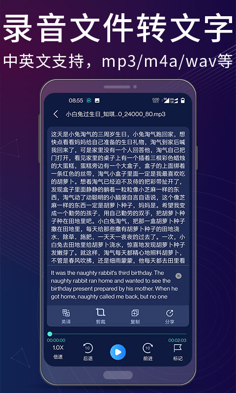 录音翻译转文字助手v1.0.6截图3