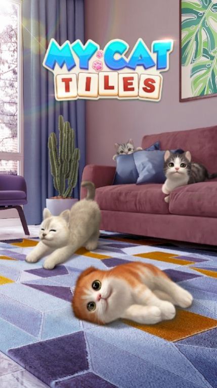 我的猫猫生活截图2