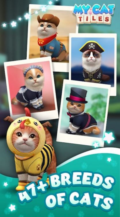 我的猫猫生活截图1