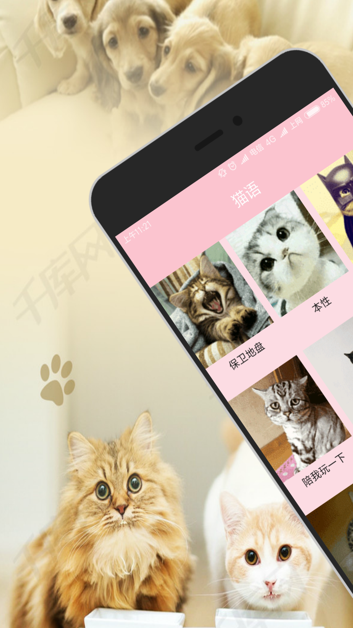 人猫狗交流器v3.6截图5