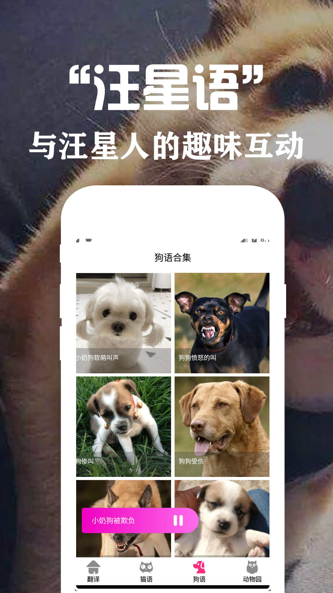 狗语翻译交流器v2.9截图3