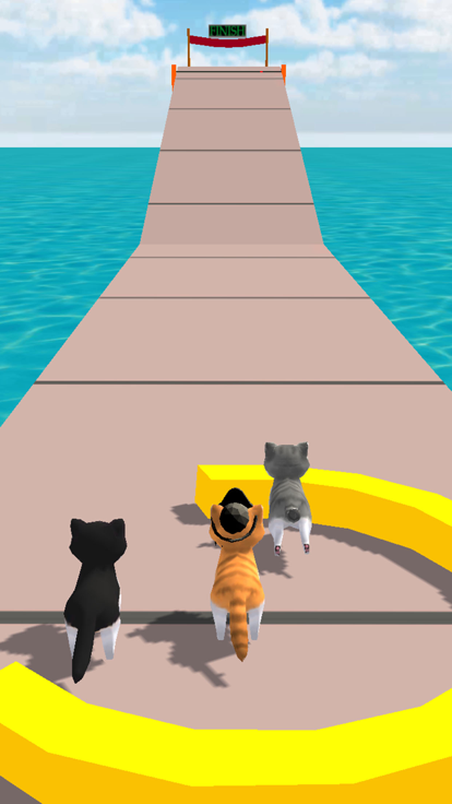 Cat Fun Race 3D Run Face Game截图5