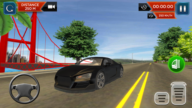 Real Car Driving School Sim 3D截图4