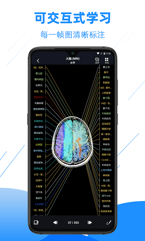 影像解剖图谱v3.9.0截图4