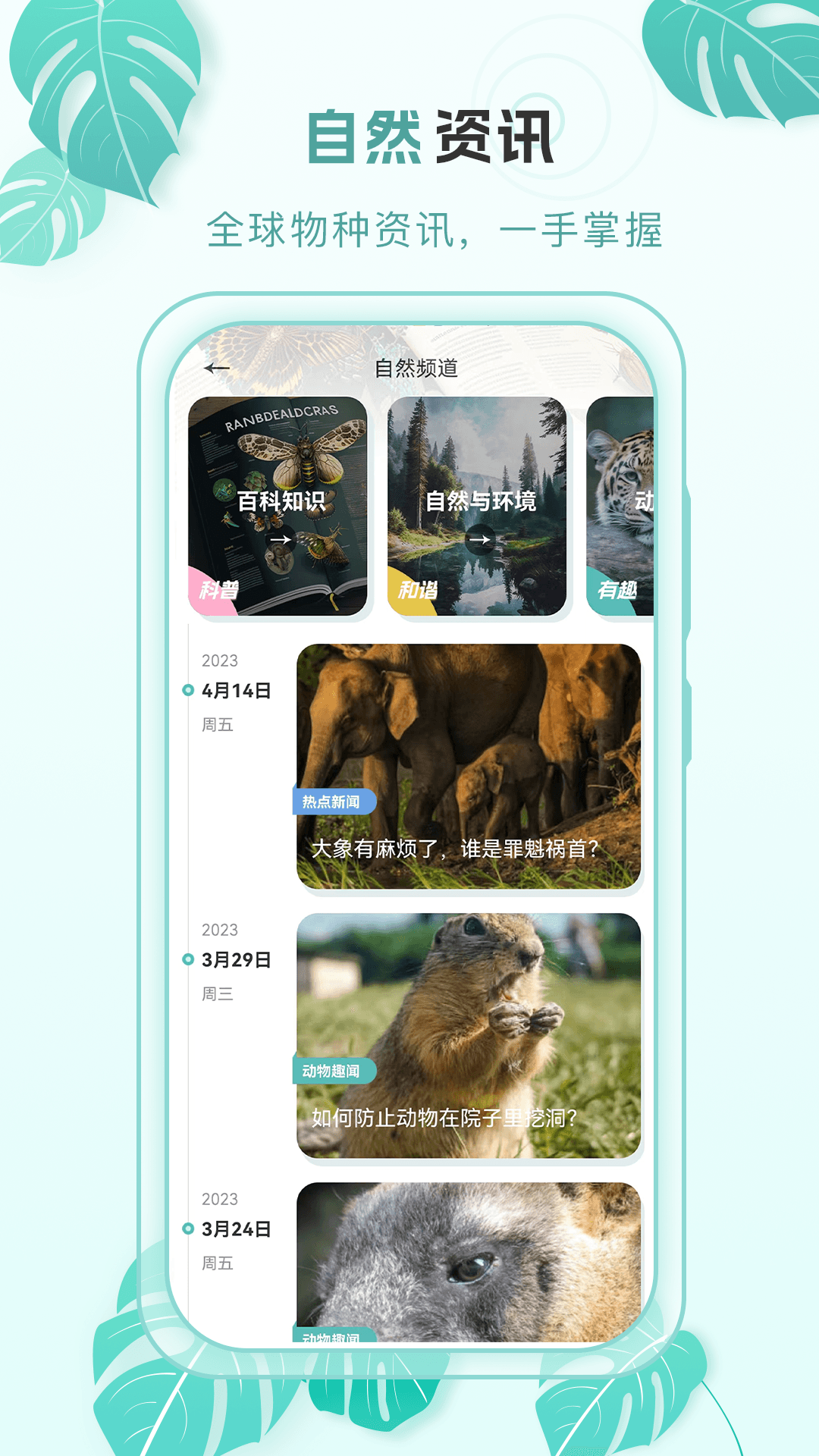 百科物语v1.0.5截图1