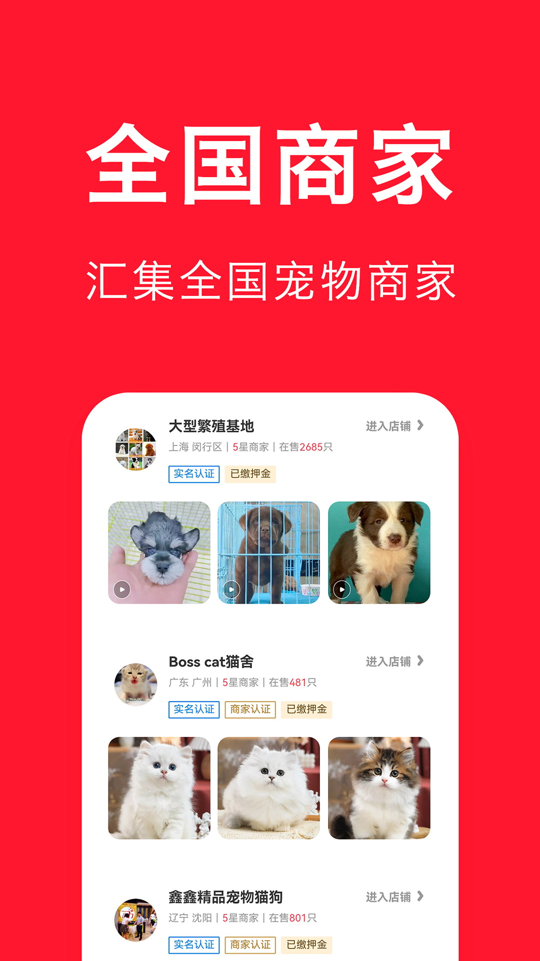 宠物宝v3.3.9截图1