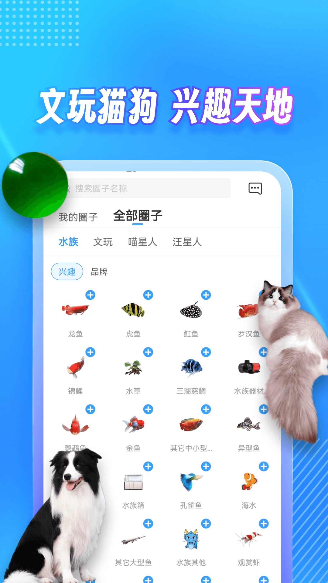 龙巅v7.0.0截图4