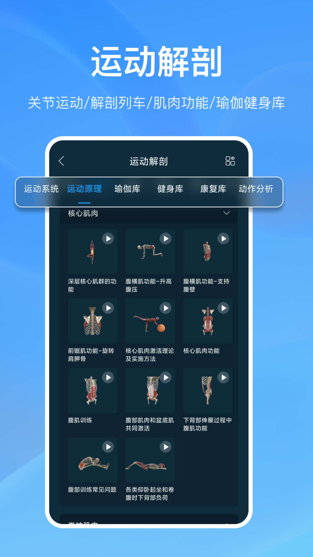 解剖大师v3.8.1截图1