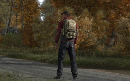 dayz独立版截图4