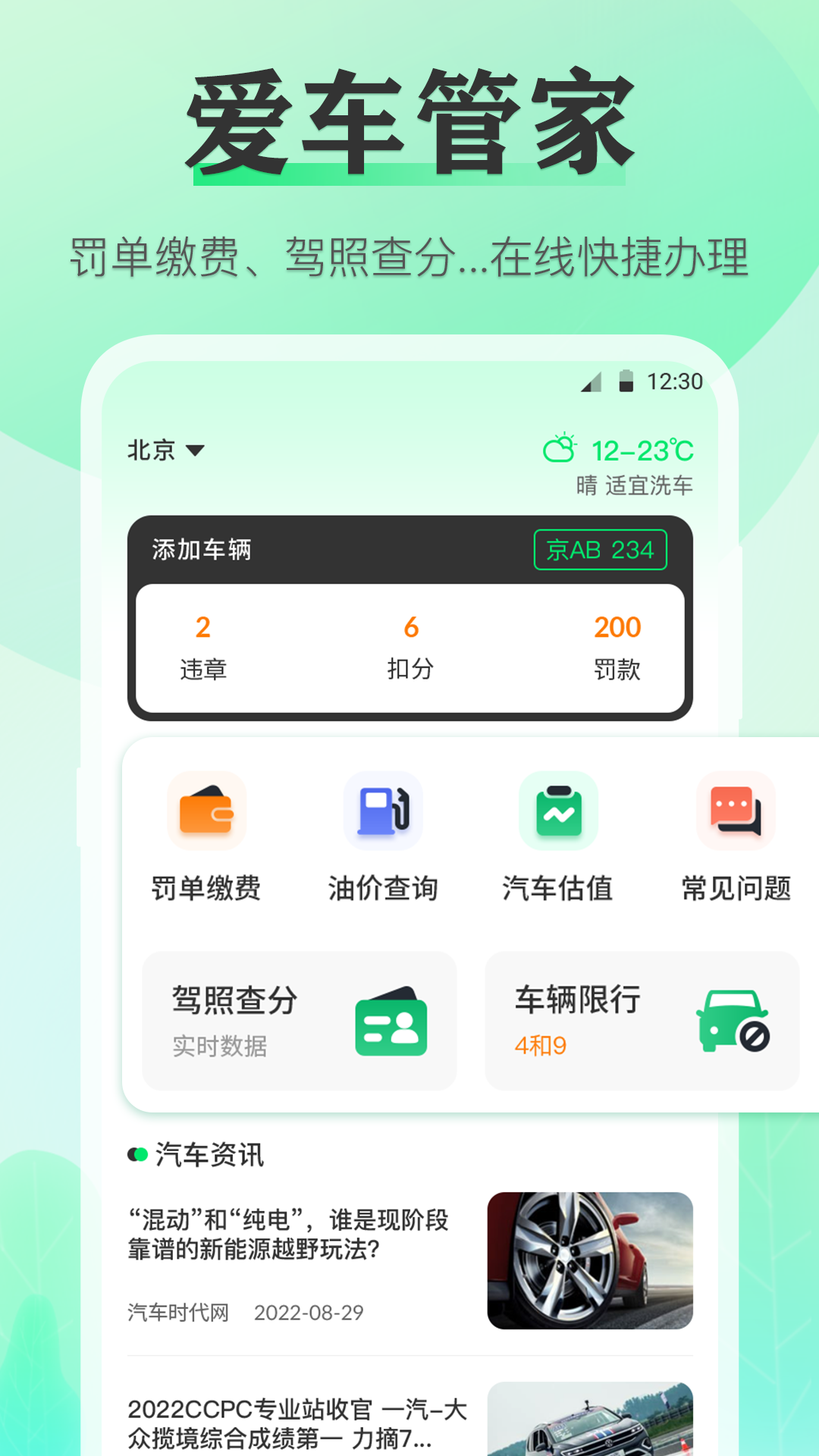 查违章年检v3.0.6截图4