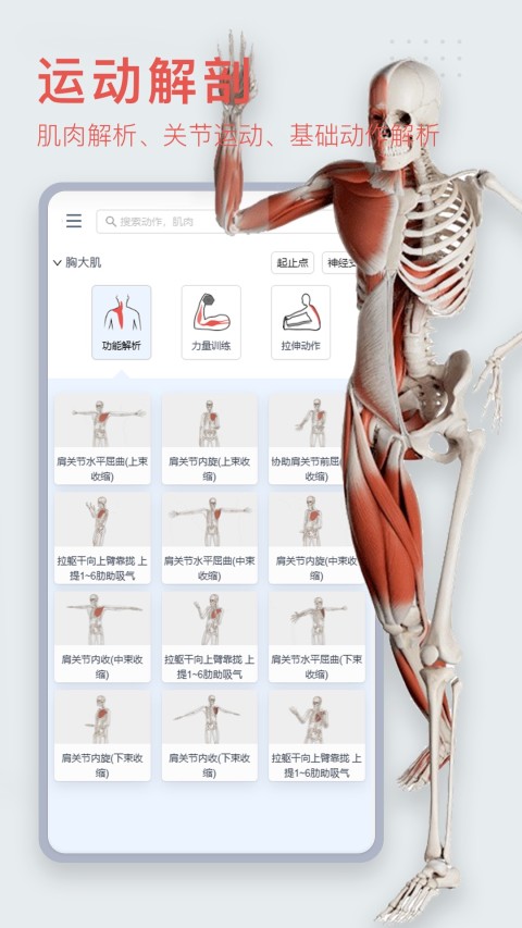 3DBody解剖v8.7.51截图4