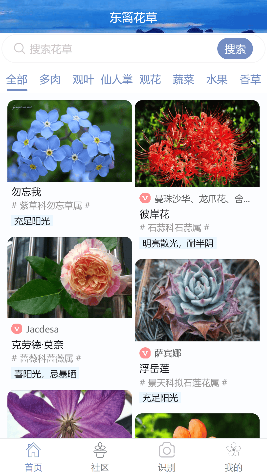 东篱花草v2.1.0截图5