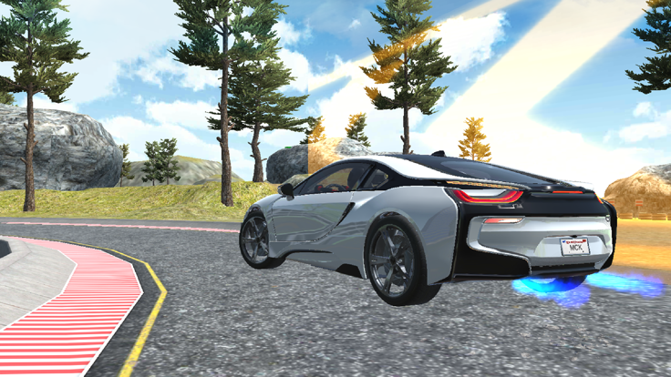 Extreme Car Racing Sim截图2