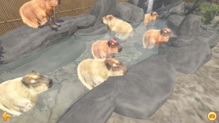 Capybara Spa截图3