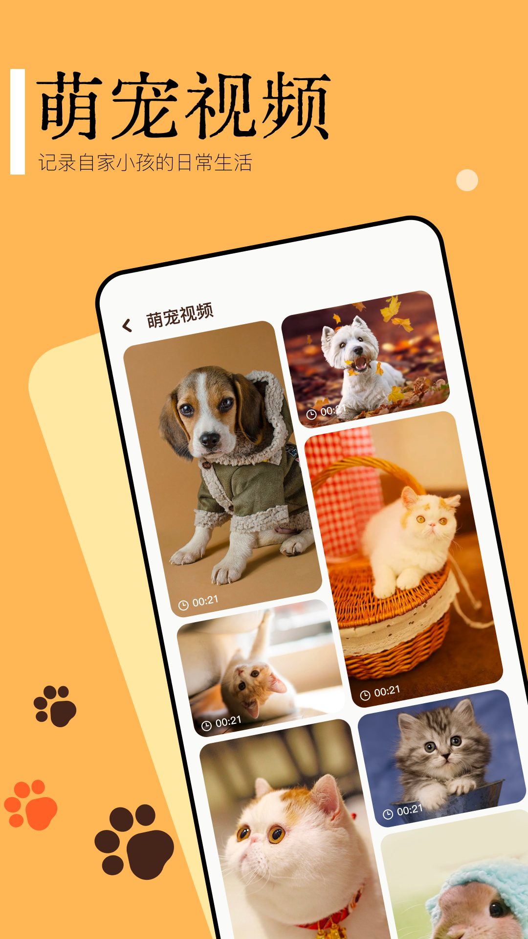 Pet translatorv1.1截图1