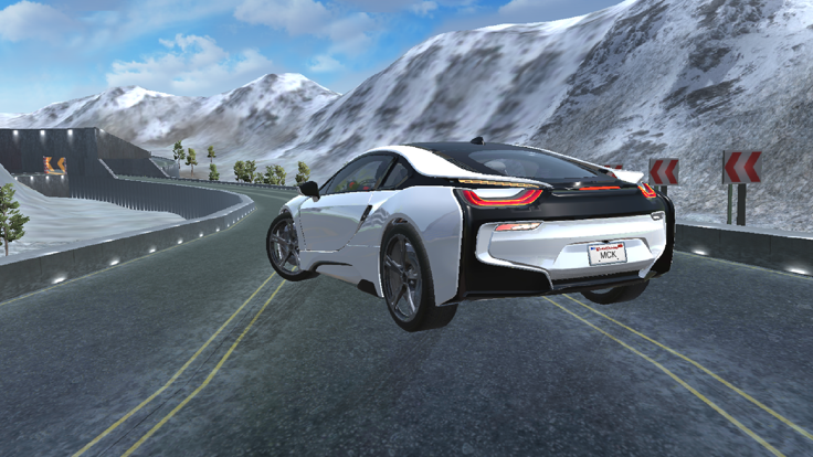 Extreme Car Racing Sim截图4