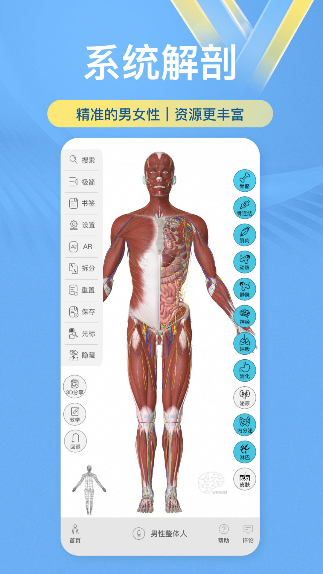 维萨里3D解剖v6.1.0截图5